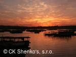 CK SHENKO´S