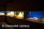 Slezskoostravský hrad, Sklep, Akvária