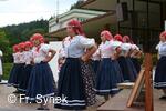 Mezinárodní folklorní festival Písní a tancem