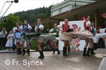 Mezinárodní folklorní festival Písní a tancem