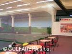 Golfarena_driving