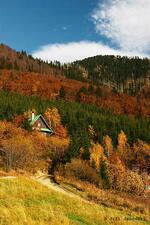Butoranka