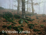 Hukvaldy 041