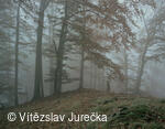 Hukvaldy 043