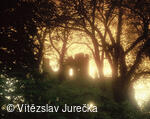Hukvaldy 086