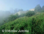 Hukvaldy 063
