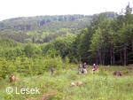 Cesta ze Sedla