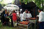 Folklorní festival Slezské dny