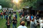 Folklorní festival Slezské dny