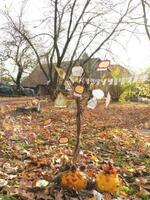 Základní škola a Mateřská škola Jindřichov