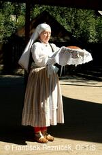 Folklorní festival Slezské dny