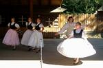 Folklorní festival Slezské dny