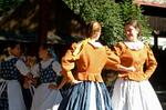 Folklorní festival Slezské dny