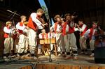 Folklorní festival Slezské dny