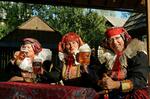 Folklorní festival Slezské dny
