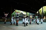 Folklorní festival Slezské dny