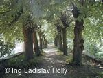 Tovačov, Zámek - hradby