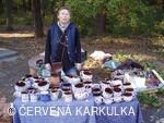 Svatováclavská perníková tlačenice 2008