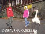 Perníkiáda s VŘSR 2008