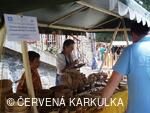 Setkání Jeníčků a Mařenek 2009