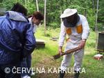 Medobraní a Den dětí 2010