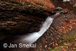 Jan Smekal